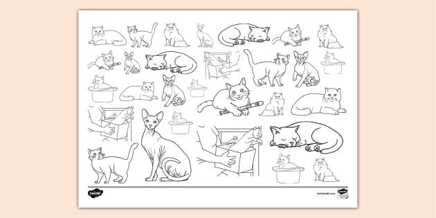 Cat Doodle Colouring Page (teacher made) - Twinkl