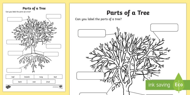The Parts of a Tree Worksheet / Activity Sheet - national tree