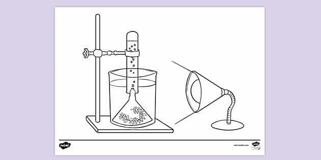 free-light-intensity-photosynthesis-experiment-colouring-sheets