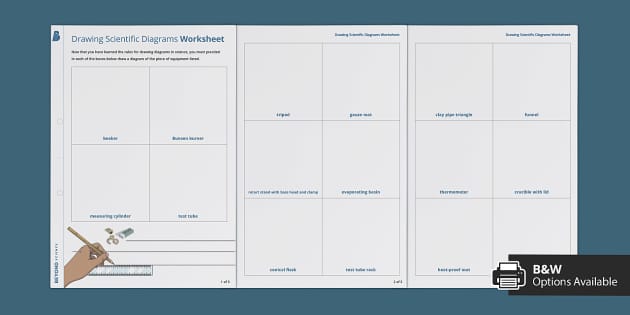 Drawing Scientific Diagrams Worksheet (teacher Made)