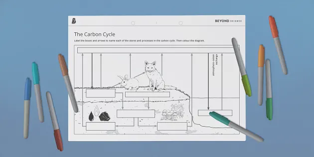 MetLink - Royal Meteorological Society The Changing Carbon Cycle -
