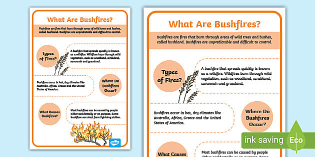 What Are Bushfires Information Poster Teacher Made