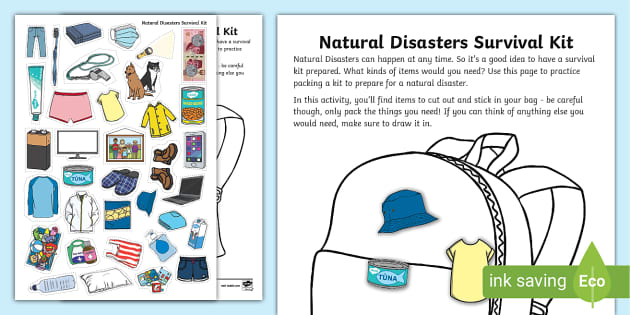 Disaster Survival Kit (Teacher-Made) - Twinkl