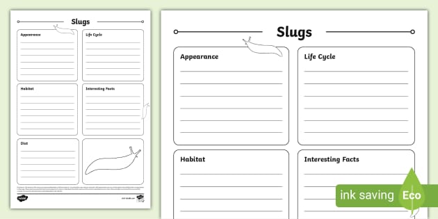 Slugs Fact File Template (teacher made) - Twinkl