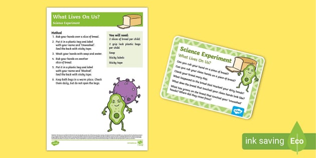 Bread mold experiment teaches the importance of handwashing