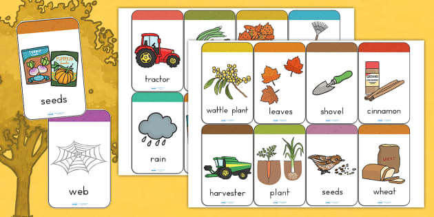 Autumn Flashcards  Twinkl Teacher-Made Learning Resources