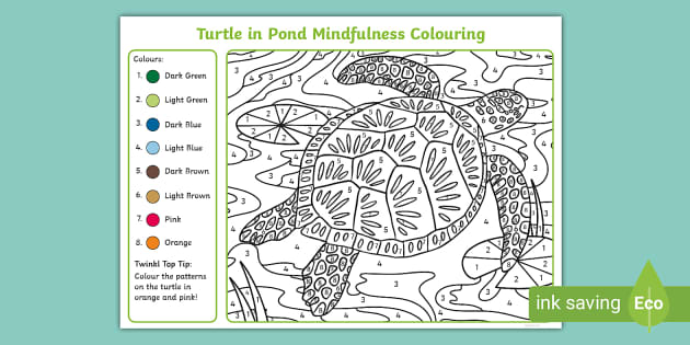 Sea Turtle Color By Number