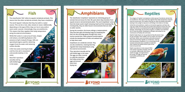 Characteristics of Animals Posters (teacher made) - Twinkl