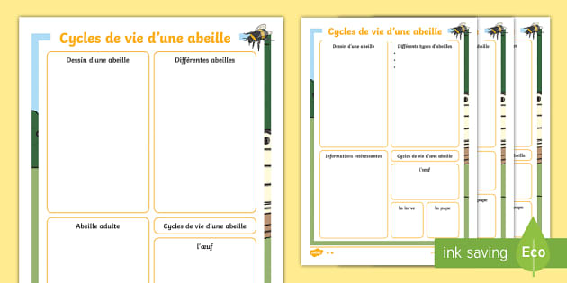 Fiches d'activités différenciées : Les cycles de vie d'une abeille