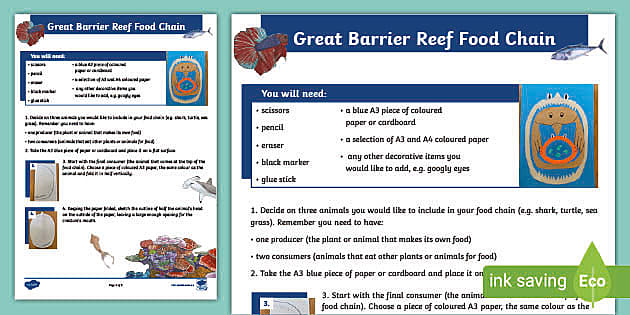 Great Barrier Reef Food Chain Craft Activity (teacher made)