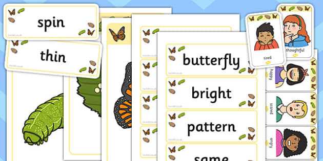 Butterfly Life Cycle Mind Map Starter Resource Pack Butterfly