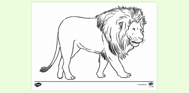 FREE! - Lion Colouring Sheet | Colouring Sheets - Twinkl