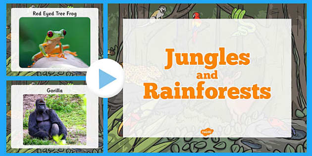 Jungle and Rainforest Photo PowerPoint