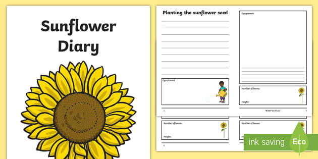 Sunflower Diary Writing Frame