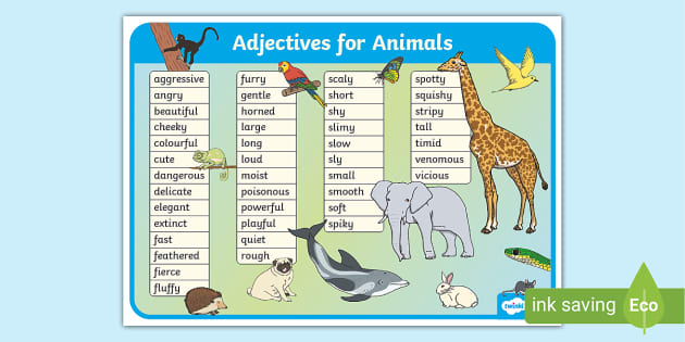 Adjectives for Animals Display Poster - KS1 - Writing