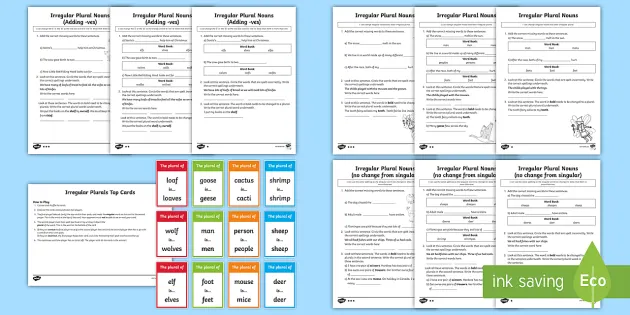 irregular plural nouns activity teacher made