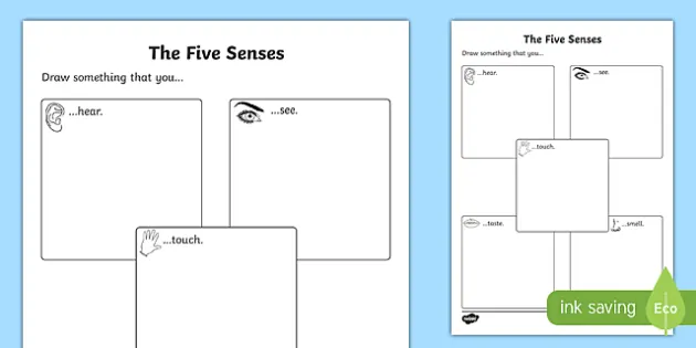 Drawing　Teaching　Senses　Worksheet　Five　The　Resources