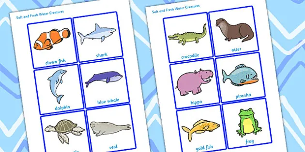 Salt and Fresh Water Creatures Sorting Cards (Under the Sea)
