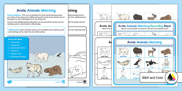 Free Arctic Animal Preschool Sensory Bin Matching Printable