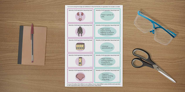 Hierarchy of Cell Organisation Sequencing Cards - Twinkl