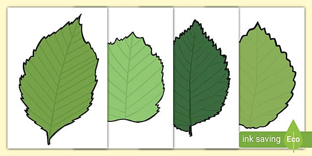 Green Paper Templates Leaf Cut Outs Twinkl Twinkl