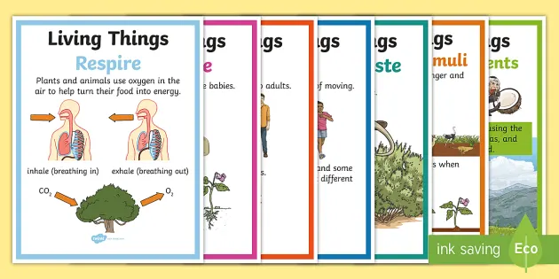 Characteristics of Living Things Display Poster - Twinkl