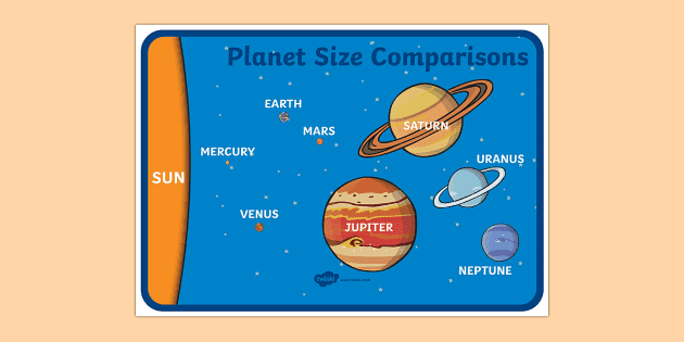 Size Comparison Display Posters (Word and Picture) - Twinkl