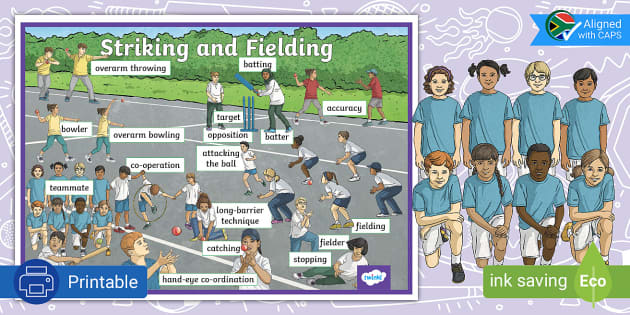 Grade 6 Physical Education Striking Fielding Display Poster