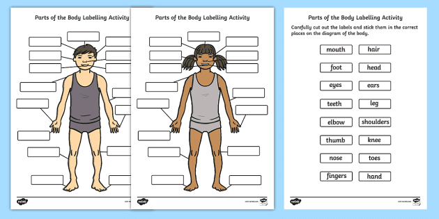 Body Parts Worksheet For Kids Cut Paste K 3 Resources