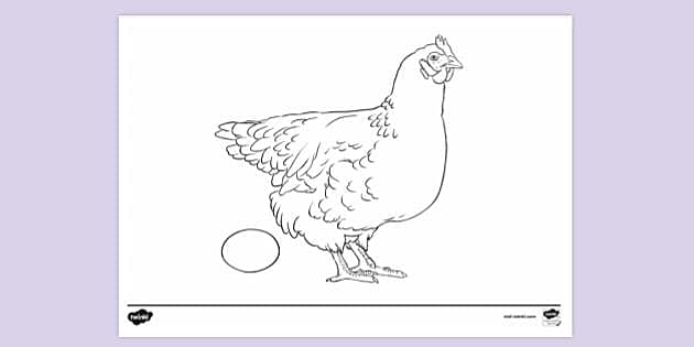 Chicken model laying egg - Scripting Support - Developer Forum