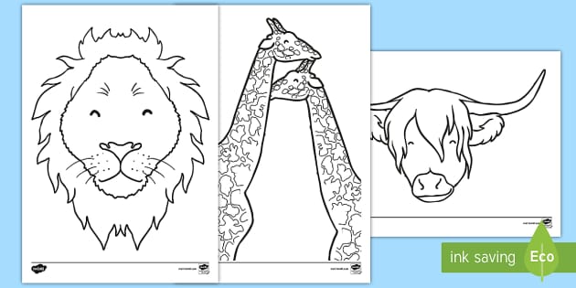 Pictures for Animal Colouring | Teaching Resources