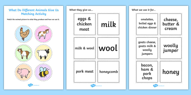 what-do-different-animals-give-us-matching-activity-matching