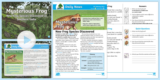 LKS2 Mysterious Frog Daily News Resource Pack (teacher made)