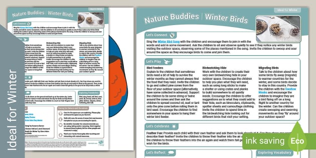 EYFS Nature Buddies Outdoor Learning: Winter Birds - Twinkl