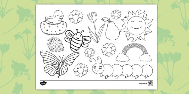 Actividad: dibujos de la primavera para colorear - Twinkl