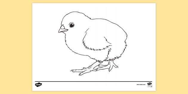 Cute Colorful Baby Chick Chicken Drawing Cartoon #2 Vinyl Decal Sticke –  Shinobi Stickers