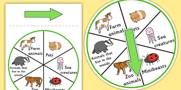 Animal Spinner | Classroom Games (teacher made) - Twinkl