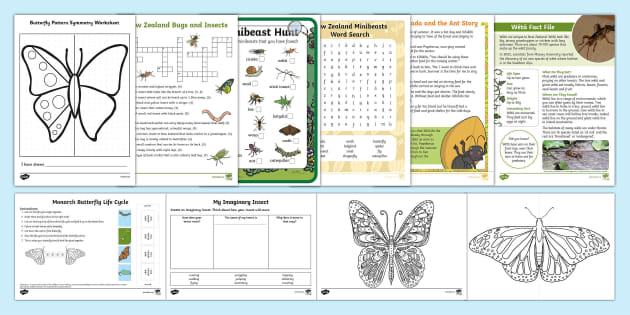 New Zealand Minibeasts Reliever's Activity Pack - Twinkl