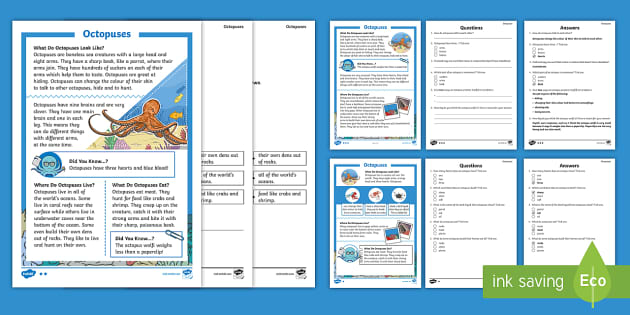 Octopus Differentiated Reading Comprehension Ages 5-7