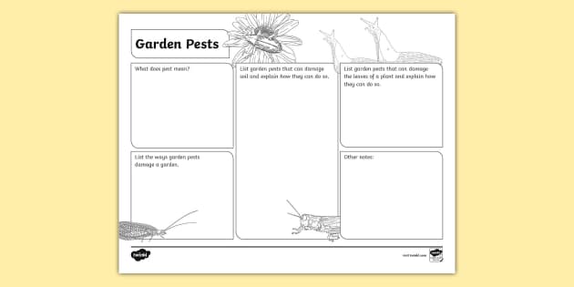 Garden Pests Mind Map Activity For 6th-8th Grade - Twinkl