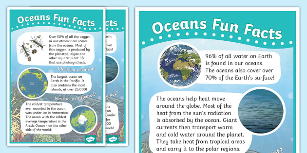 World Ocean Day Fun Facts - KS2 - Oceans - Twinkl