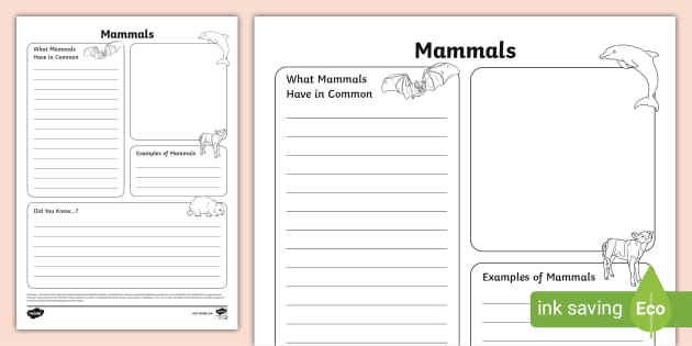 Mammals Fact File Template (l'enseignant a fait) - Twinkl