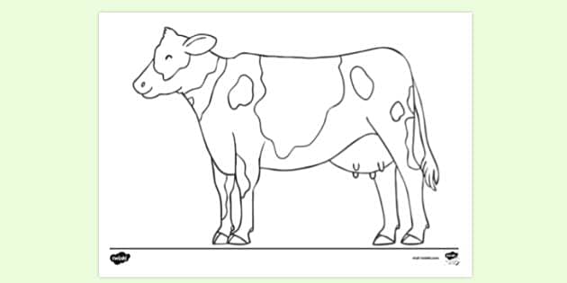 FREE! - Dairy Cow Colouring Sheet (teacher made) - Twinkl