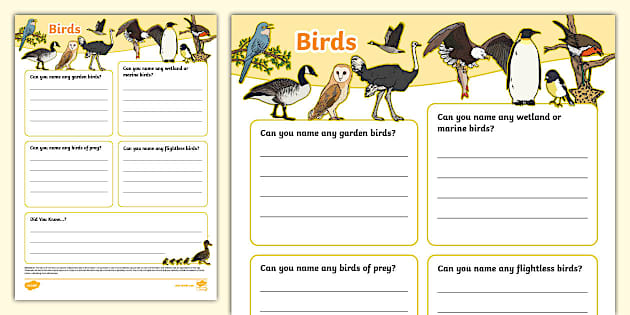 Birds Fact File Template,British birds (Teacher-Made)