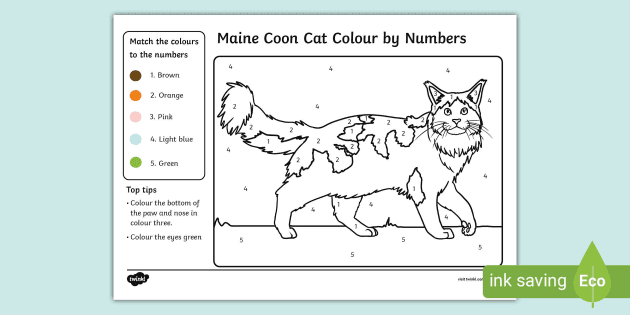 14+ Maine Coon Color Chart