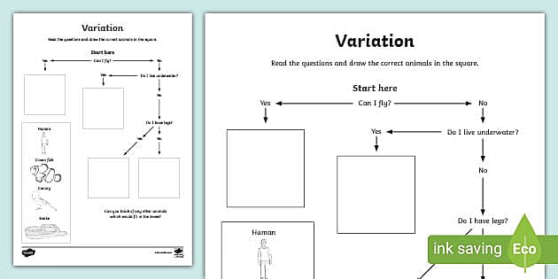 Variation Worksheet (professor feito) - Twinkl