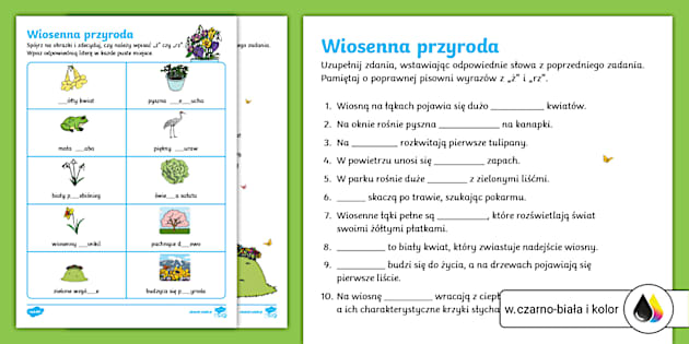 ćwiczenia Ortograficzne Rz Po Spółgłoskach