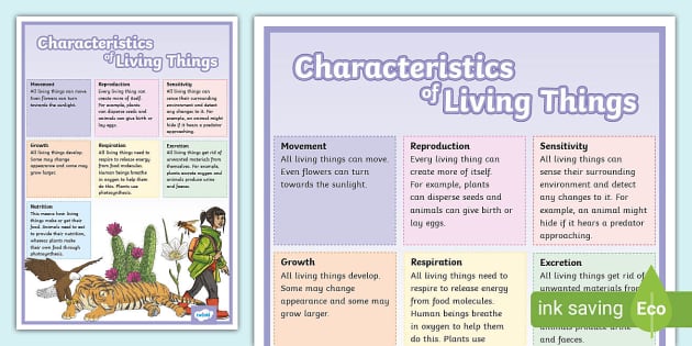 Characteristics of Living Things Display Poster - Twinkl