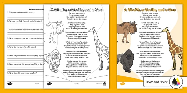 Second Grade Poetry Analysis: A Giraffe, a Gorilla, and a Gnu