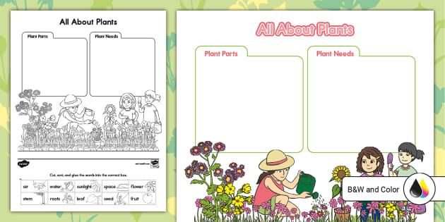 All About Plants Cut and Paste Sorting Activity - Twinkl
